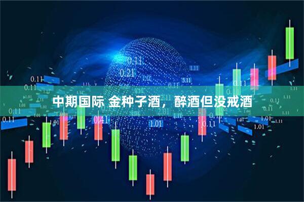 中期国际 金种子酒，醉酒但没戒酒