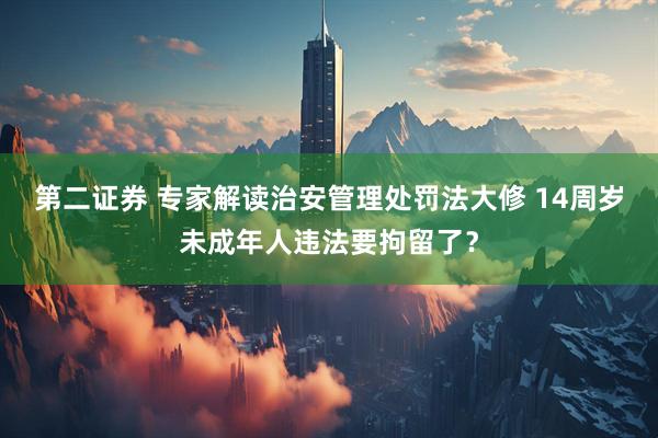 第二证券 专家解读治安管理处罚法大修 14周岁未成年人违法要拘留了？