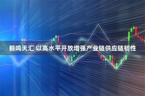 毅鸣天汇 以高水平开放增强产业链供应链韧性