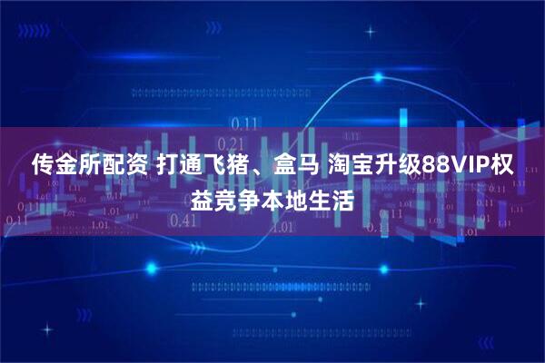 传金所配资 打通飞猪、盒马 淘宝升级88VIP权益竞争本地生活
