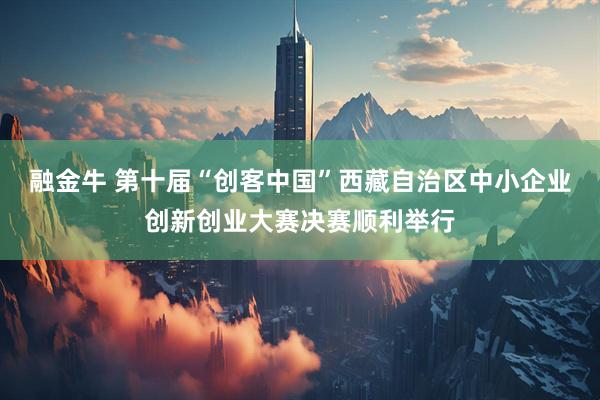 融金牛 第十届“创客中国”西藏自治区中小企业创新创业大赛决赛顺利举行